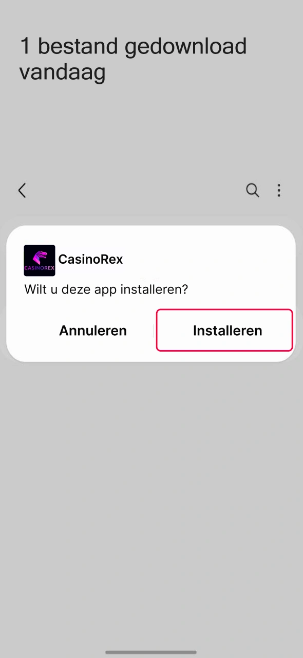 Installeer de CasinoRex APK en start direct met mobiel spelen na snelle bevestiging.