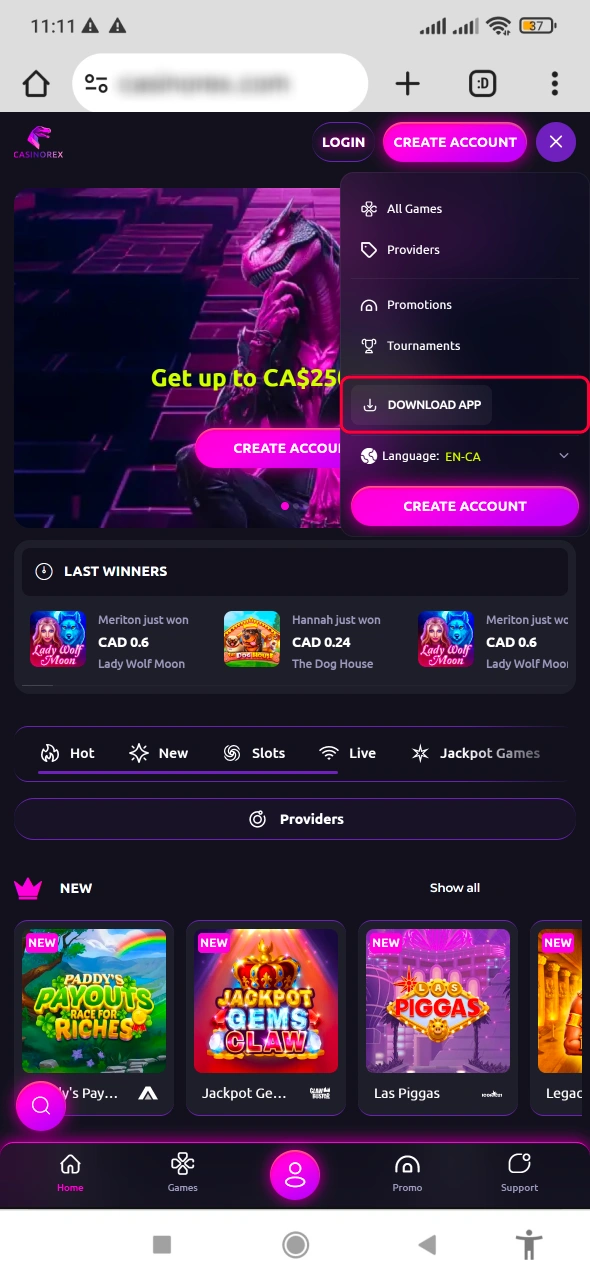 Get the CasinoRex APK file today and prepare to unlock smooth performance and complete casino functionality on mobile.